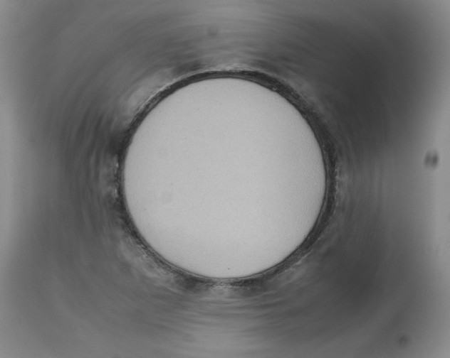 X0000112511265200909141151