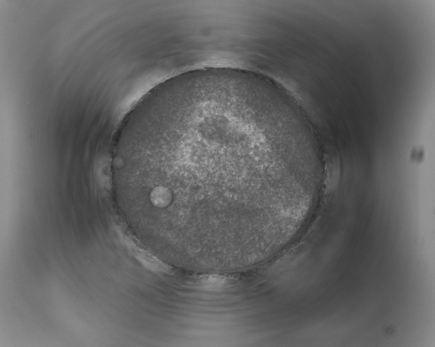 X0000112511266200909141151