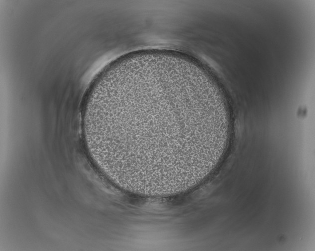 X0000112511267200909141151