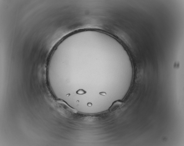 X0000112511268200909141151