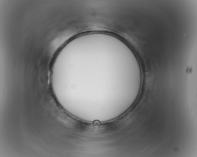 X0000112511269200909141151