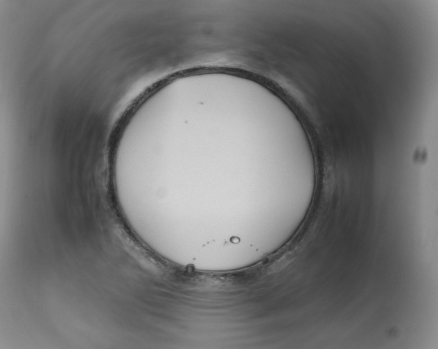 X0000112511270200909141151