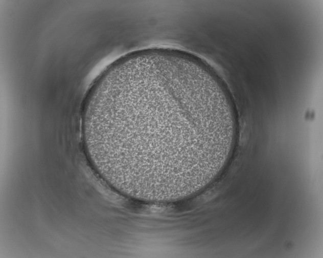 X0000112511271200909141151