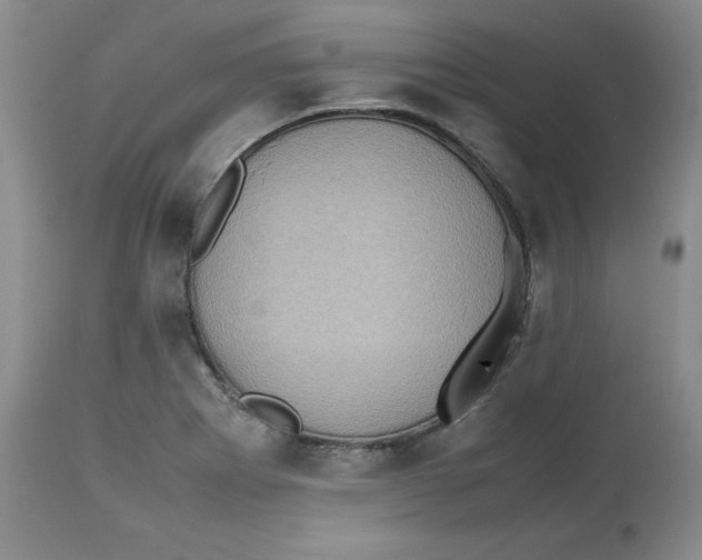 X0000112511273200909141151