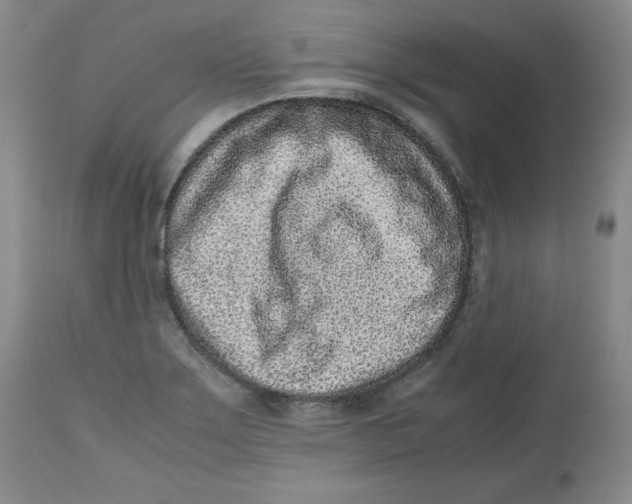 X0000112511275200909141151