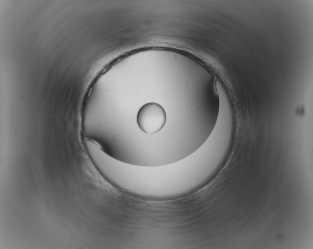 X0000112511280200909141150