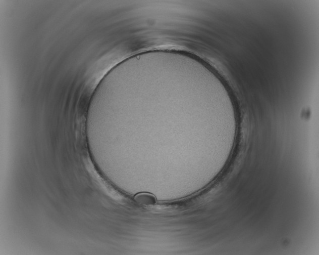 X0000112511281200909141150