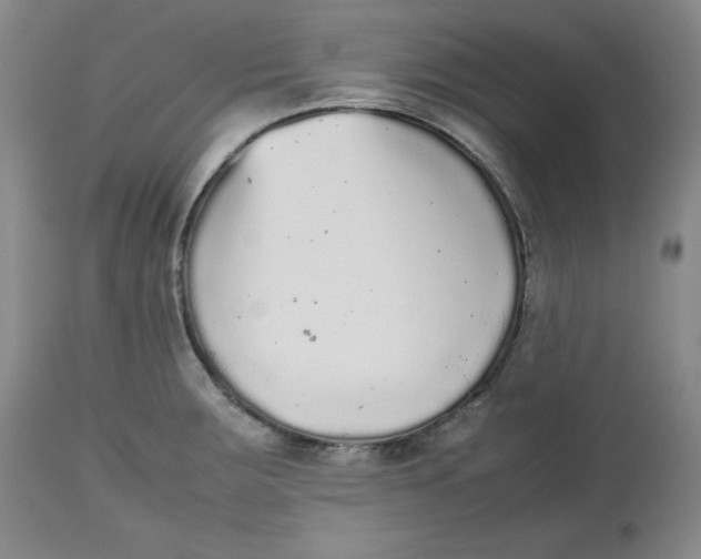 X0000112511283200909141150