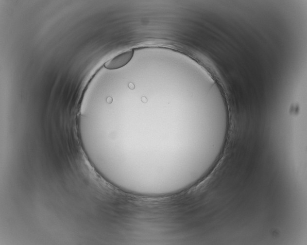 X0000112511284200909141150