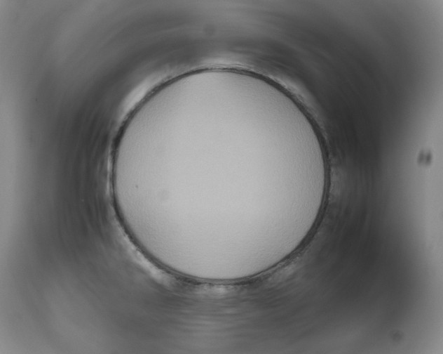 X0000112511286200909141150