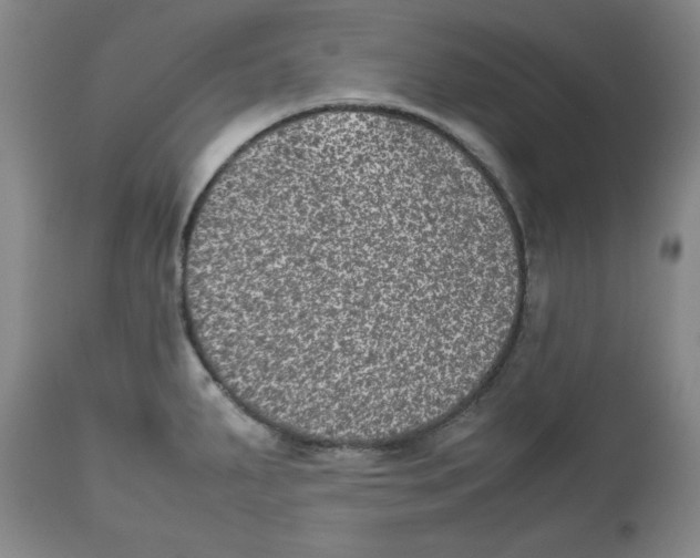 X0000112511287200909141150