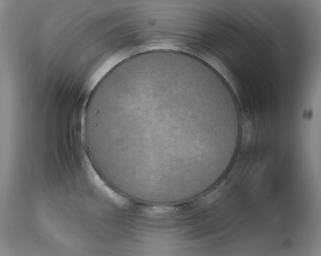 X0000112511290200909141150