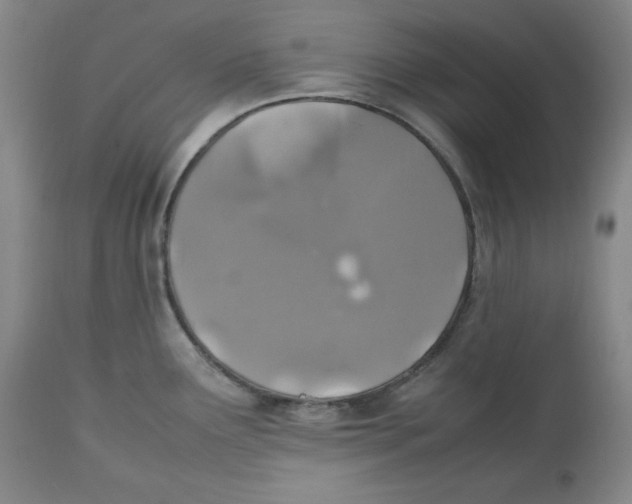 X0000112511291200909141150