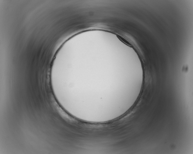 X0000112511292200909141150