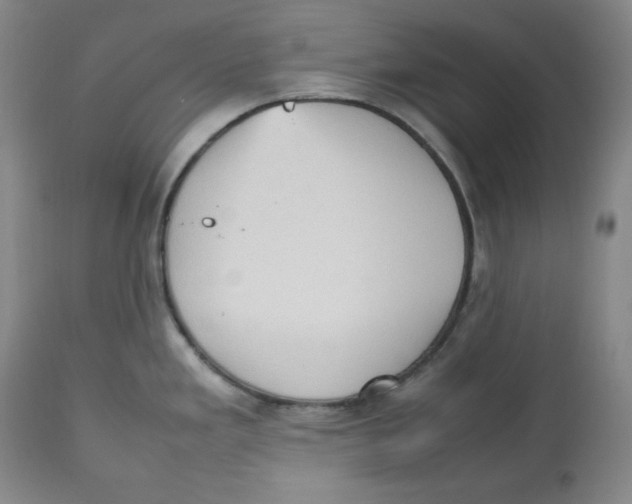 X0000112511293200909141150