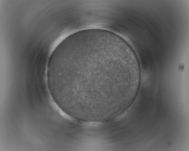 X0000112511294200909141150