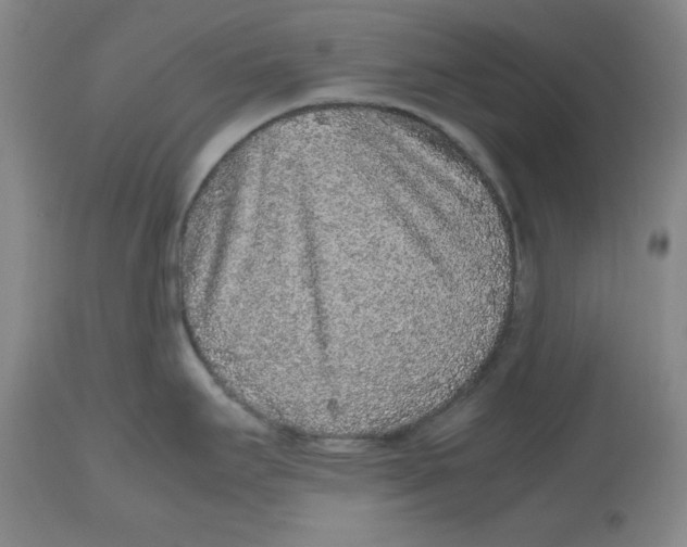 X0000112511295200909141150