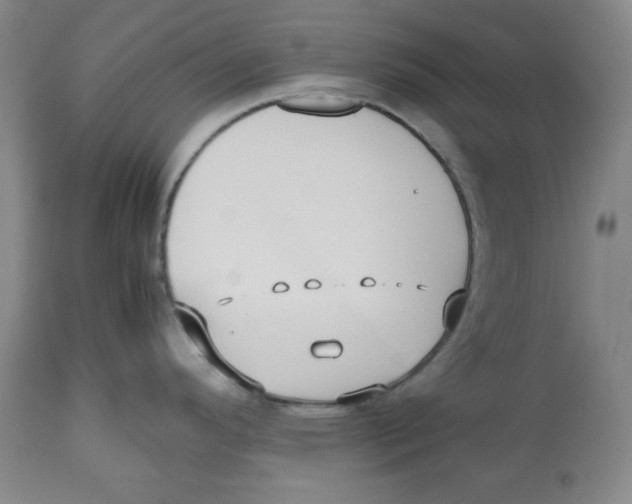 X0000112511296200909141150