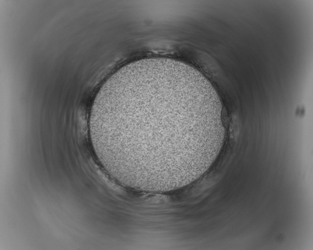 X0000112511298200909141149