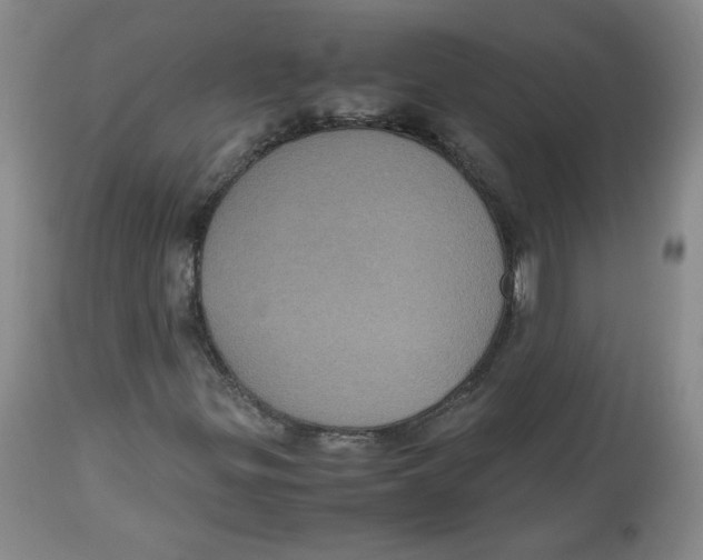 X0000112511299200909141149