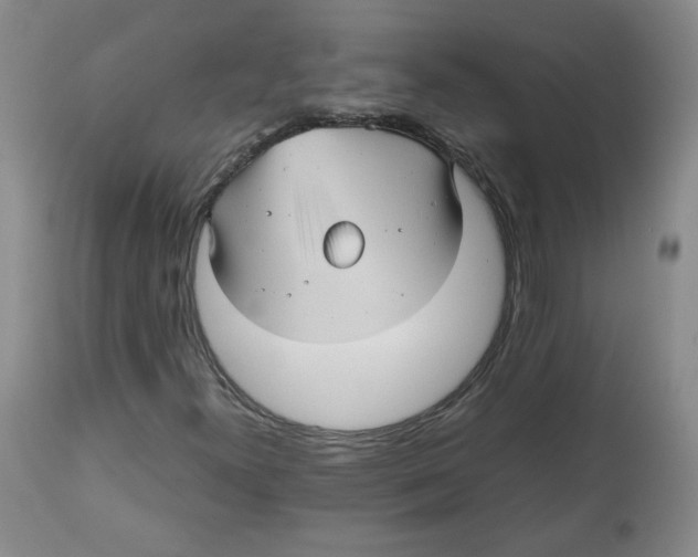 X0000112511300200909141149