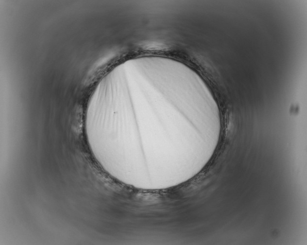 X0000112511301200909141149