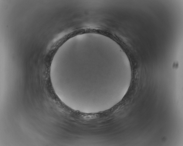 X0000112511303200909141149