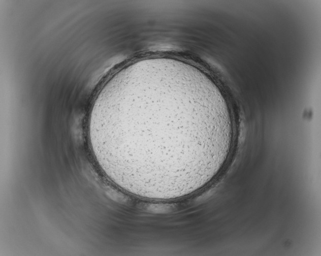 X0000112511305200909141149