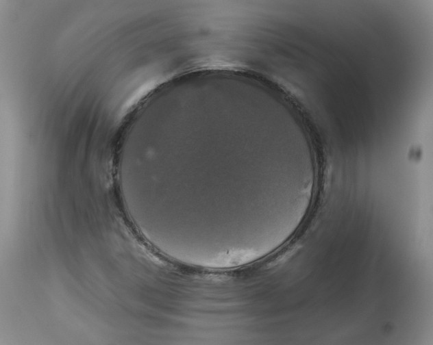 X0000112511306200909141149