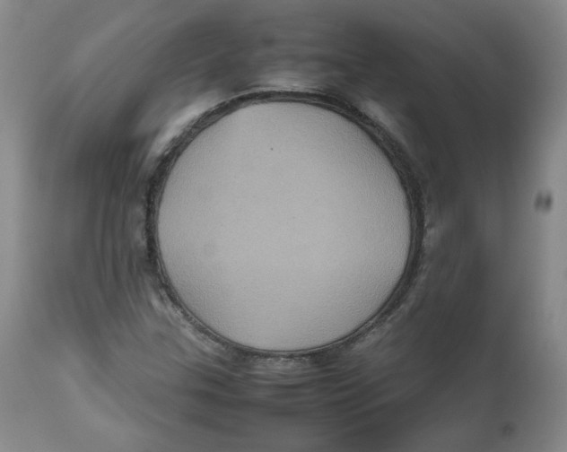 X0000112511307200909141149