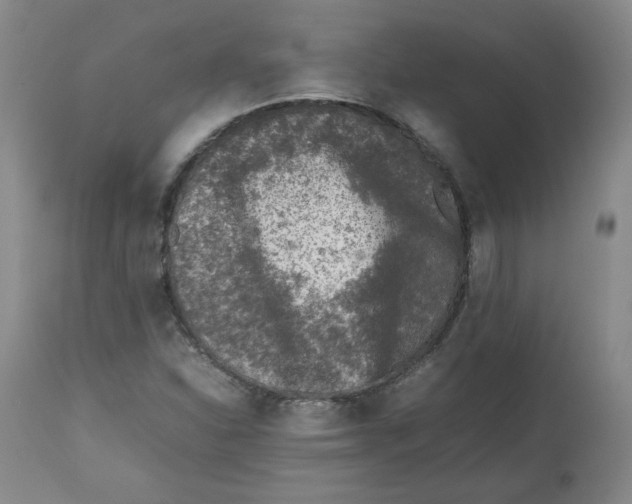 X0000112511310200909141149