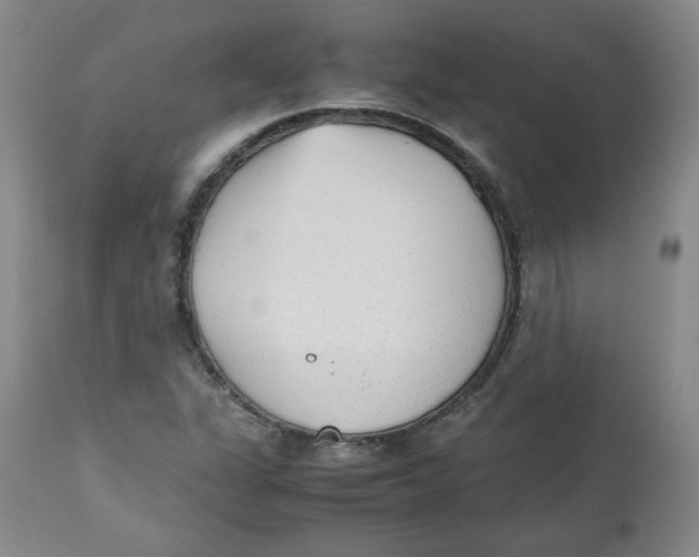 X0000112511311200909141149