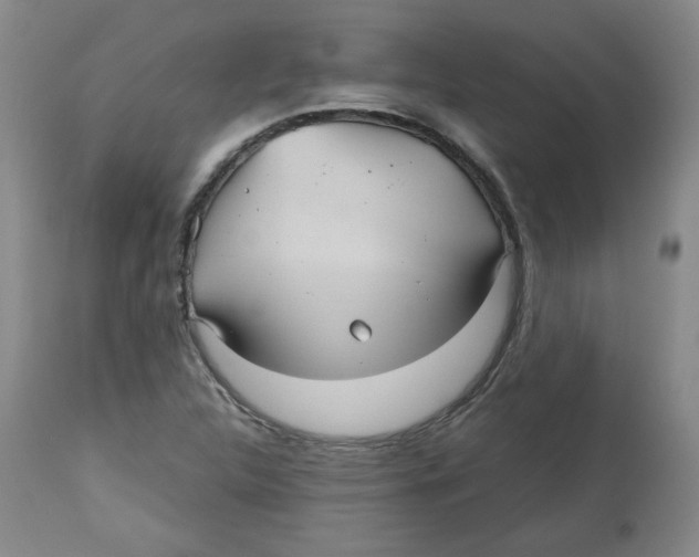 X0000112511312200909141149