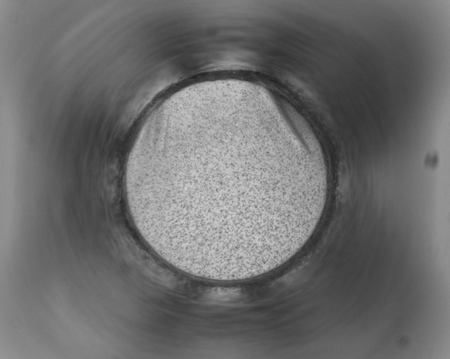 X0000112511313200909141149