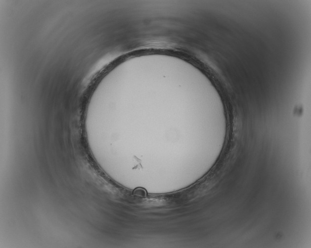 X0000112511315200909141149