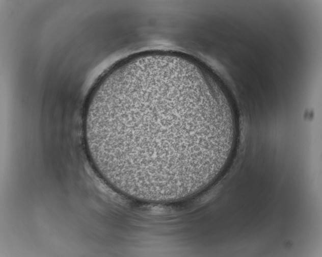 X0000112511318200909141149