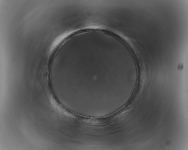 X0000112511319200909141149