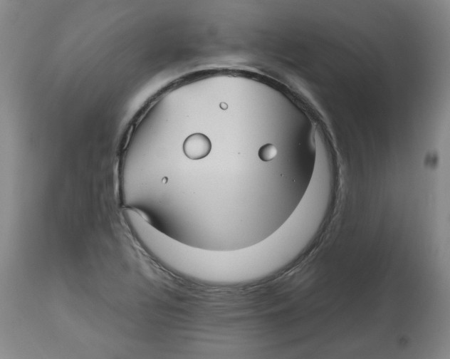 X0000112511320200909141149