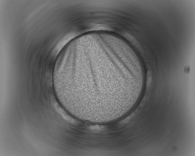 X0000112511321200909141149