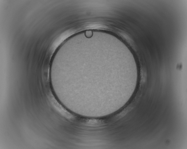 X0000112511322200909141149