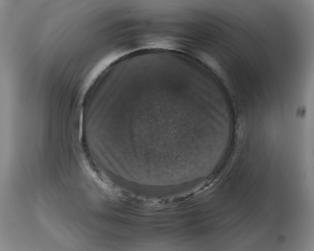 X0000112511323200909141149