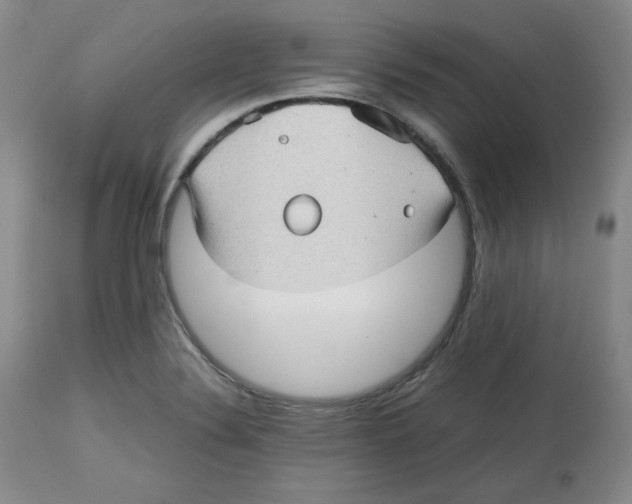 X0000112511324200909141149