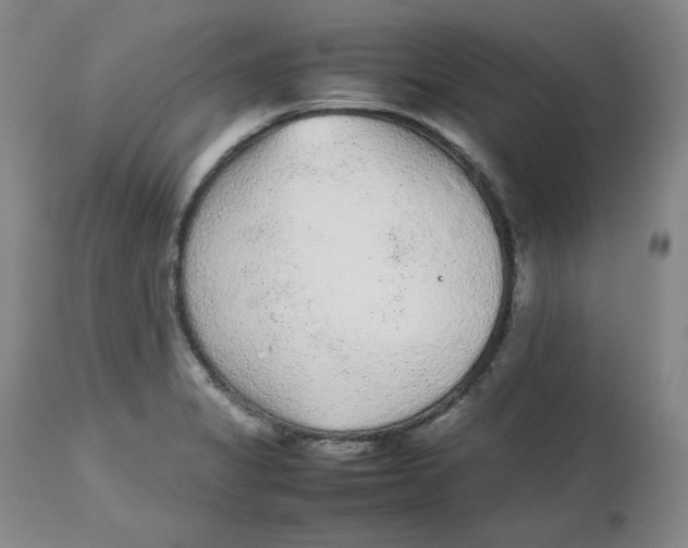 X0000112511325200909141149