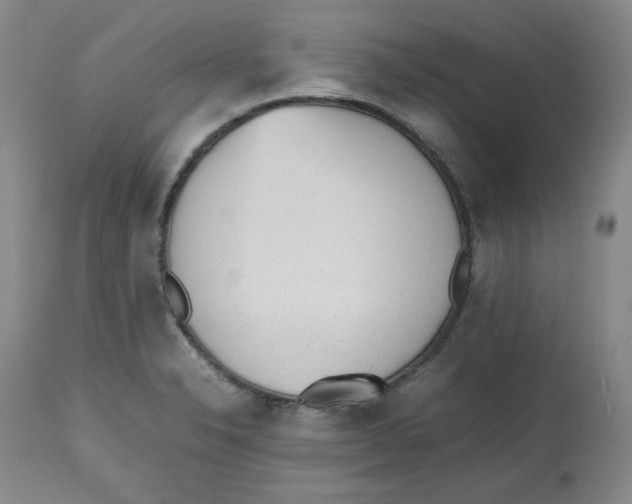 X0000112511326200909141149