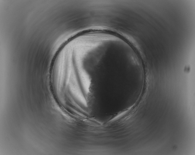 X0000112511327200909141150