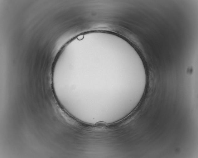 X0000112511328200909141150