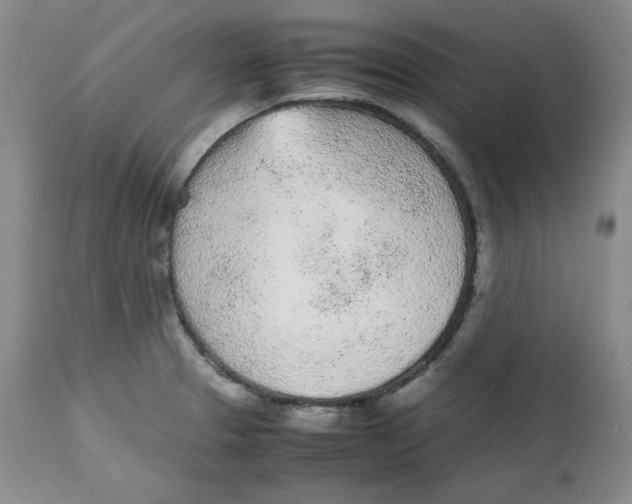 X0000112511329200909141150