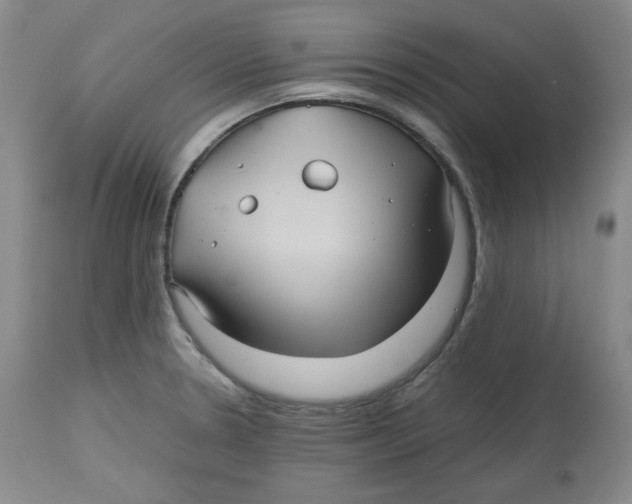 X0000112511330200909141150