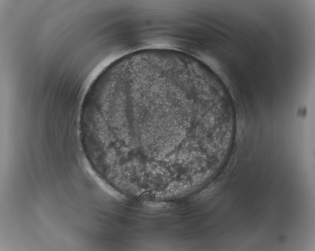 X0000112511331200909141150