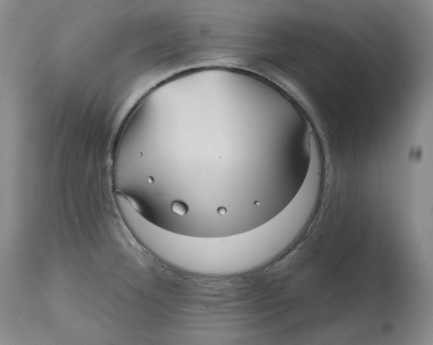 X0000112511332200909141150